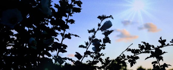 Managing stress during covid-19