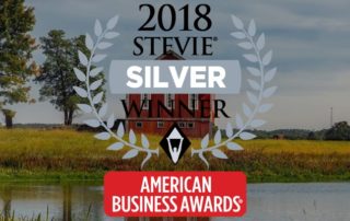 2018 Silver Stevie® Award Winner