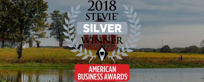 2018 Silver Stevie® Award Winner