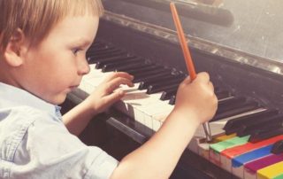 Neuroplasticity in montessori