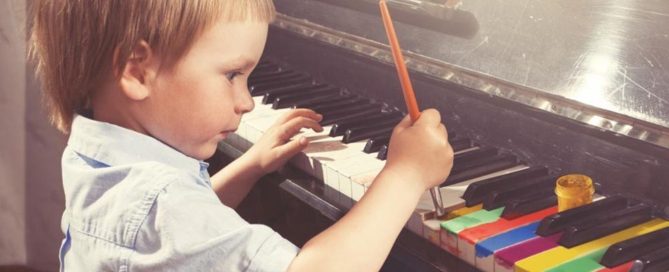 Neuroplasticity in montessori