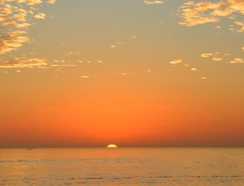 Feeling overworked or overwhelmed? Here’s how you can handle your stress.