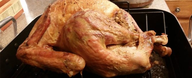 Thanksgiving turkey